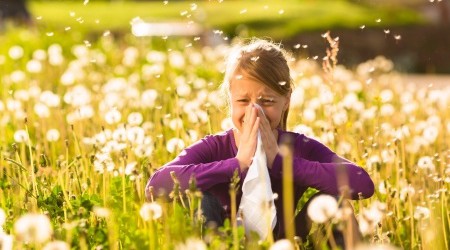 Comment soigner les allergie (soleil, pollen...)