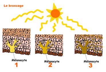 Les astuces bronzage de la PHC