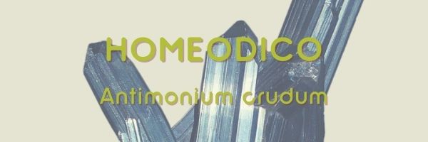 Homeo dico : la souche Antimonium crudum