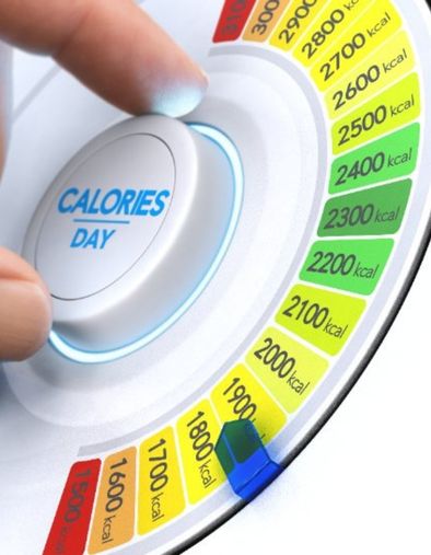 Alimentation : Im2Calories de Google, l'appli qui calcule les calories de votre assiette