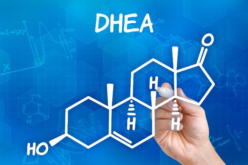 DHEA