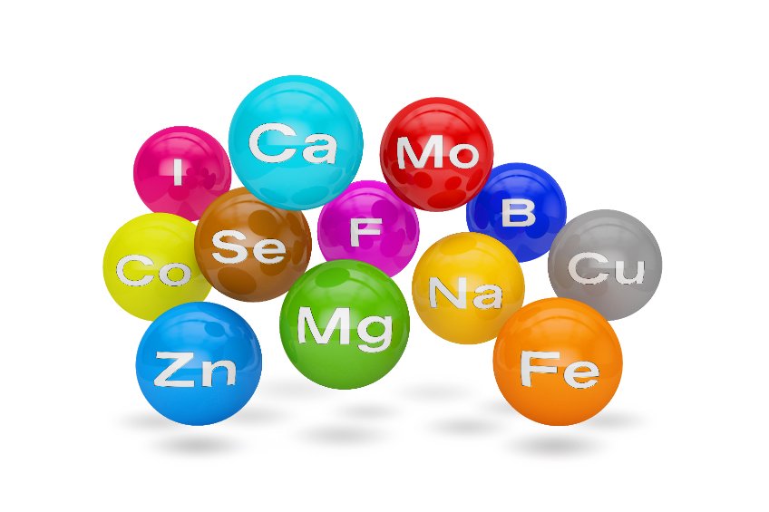 Les oligo-éléments sont des substances indispensables à notre organisme.