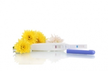 Homéopathie et ovulation
