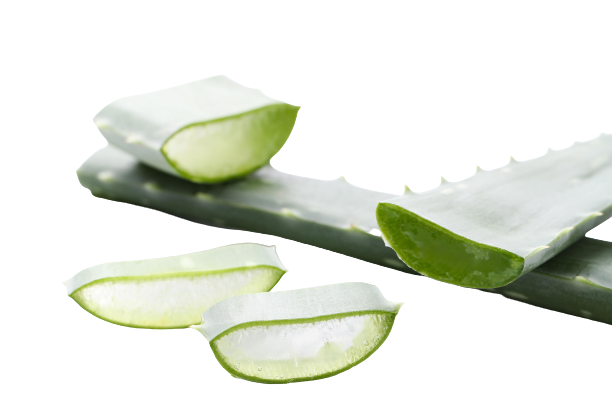 Aloe vera pur naturel