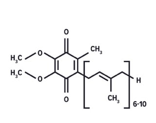 Coenzyme Q10 Ubiquinone