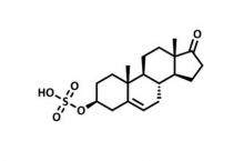 DHEA anti-âge