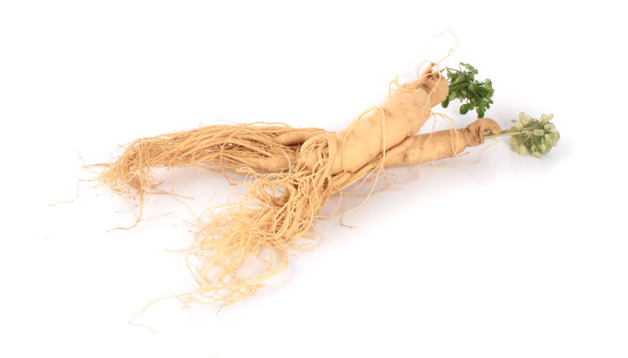 Ginseng