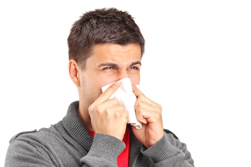 Allergies - Allergènes