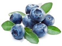 AIRELLE MYRTILLE en vrac (Vaccinium myrtillus)