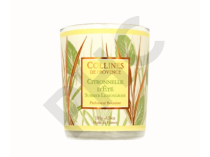 Collines de Provence - Bougie parfumée - Citronnelle d'Été