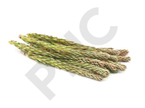 BOURGEON DE PIN en vrac (pinus sylvestris)