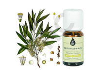 Cajeput huile essentielle
