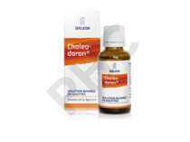 CHOLEODORON