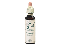 CLEMATIS - Fleurs de Bach N°09, 20 ml
