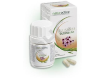 ELUSANES ECHINACEE 30 ou 60 gélules