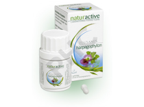 ELUSANES HARPAGOPHYTON 30 ou 60 gélules