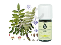 Encens ou oliban huile essentielle
