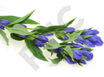 Gentiane Extrait Plantes Fraîches - EPS