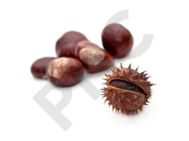 Marron d'inde Extrait Plantes Fraîches - EPS
