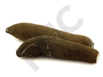 Radis noir Extrait Plantes Fraîches - EPS