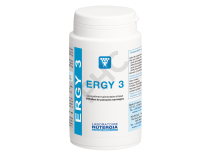 ERGY 3