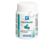 ERGYBASE
