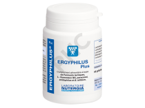 ERGYPHILUS PLUS
