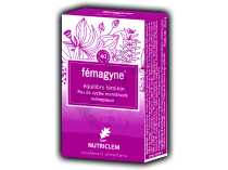 Femagyne, 40 gélules