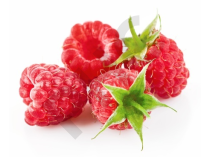 FRAMBROISIER  en vrac (Rubus idéaus)