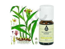 Gingembre huile essentielle bio