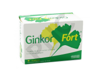 GINKOR FORT