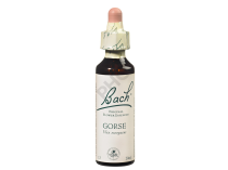 GORSE - Fleurs de Bach N°13, 20 ml