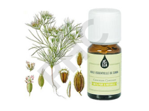 Cumin huile essentielle