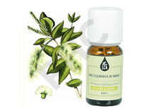 Niaouli bio huile essentielle bio