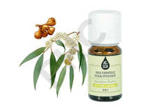 Eucalyptus radié huile essentielle bio