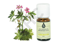 Géranium rosat d'Egypte bio huile essentielle bio