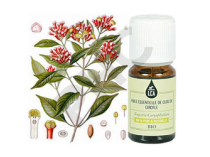 Clou de girofle huile essentielle bio