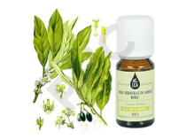 Laurier noble bio huile essentielle bio