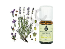 Lavande fine bio de haute provence huile essentielle bio
