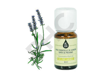 Lavandin abrial ( =  lavandin super ) huile essentielle