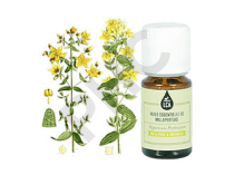 Millepertuis huile essentielle