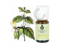 Patchouli huile essentielle
