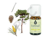 Pin sylvestre de Provence bio huile essentielle