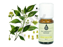 Ravintsara bio huile essentielle bio