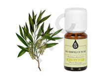 Tea tree - arbre à thé huile essentielle
