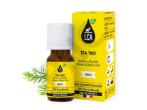 Tea tree - arbre à thé huile essentielle