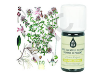 Thym à thuyanol de provence huile essentielle