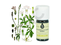 Verveine odorante huile essentielle