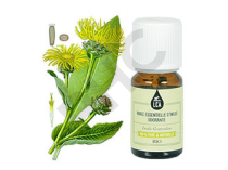 Inule odorante bio huile essentielle bio