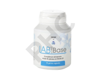 LAB Base
